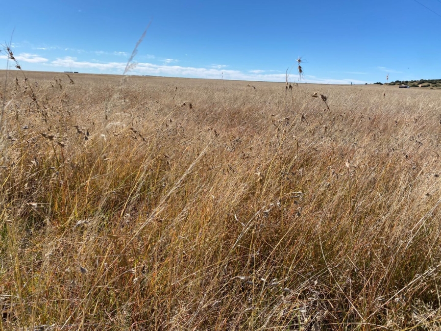Commercial Property for Sale in Bloemfontein Rural Free State